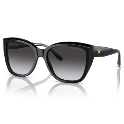Emporio Armani EA4198 Sunglasses